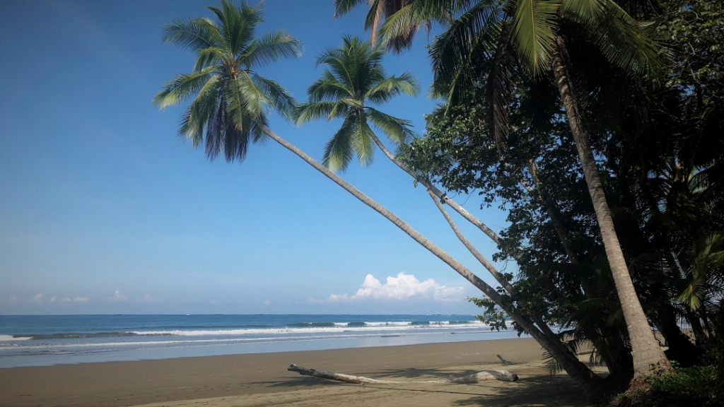 costa rica dominical beach