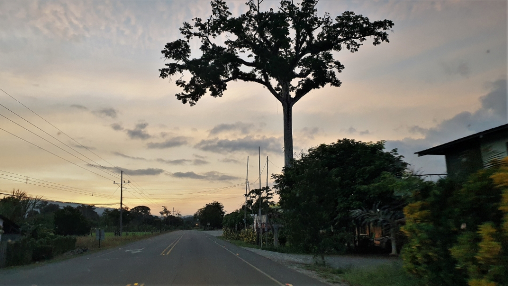 costa rica corcovado road