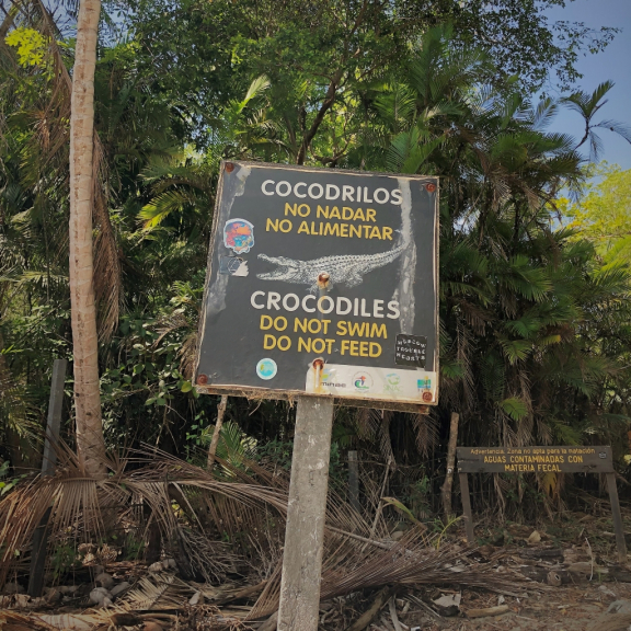 costa-rica-crocodiles