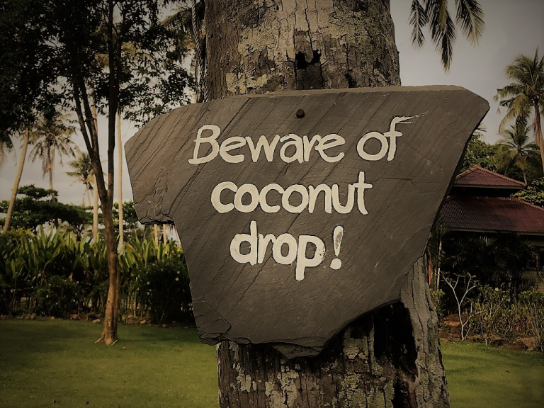 koh-kood-coconout