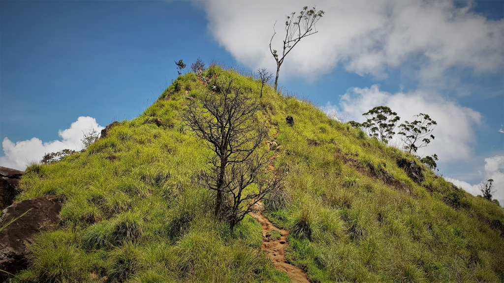 sri lanka little adam peak