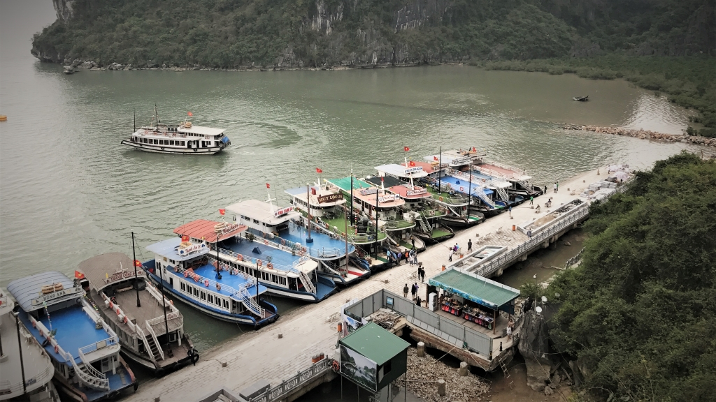 Vietnam halong bay harbur