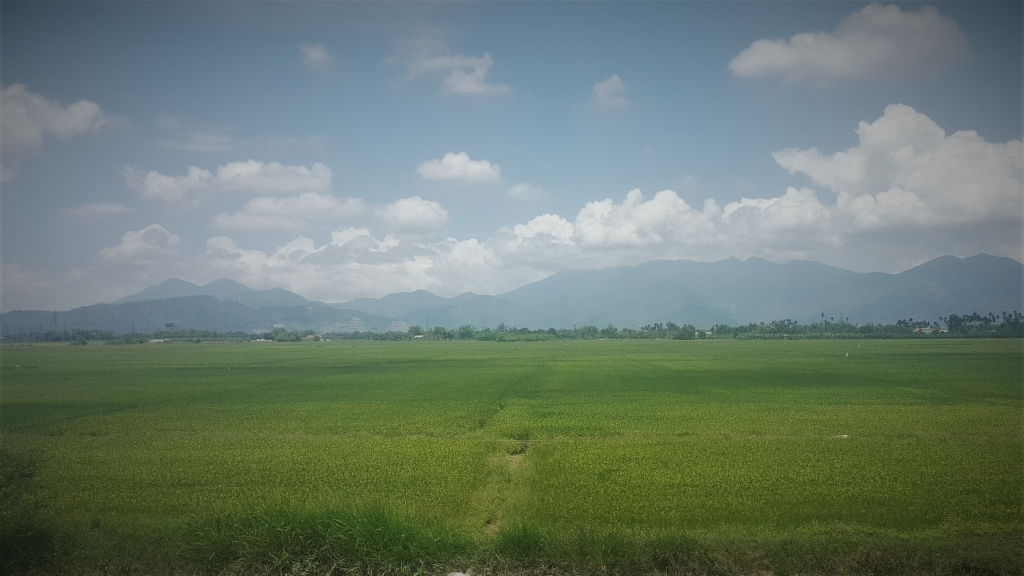 Vietnam landscape